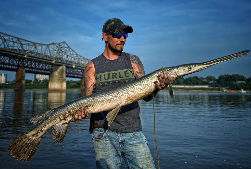 Monster Longnose Gar